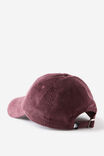 Active Graphic Cap, SKI CLUB CORD/CHERRY RIPE - alternate image 2